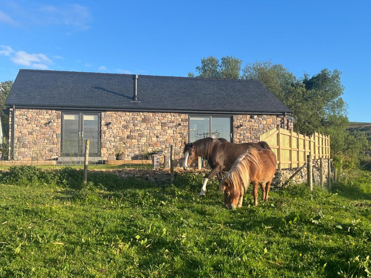 Hedd Wen Villa Llanllyfni Buitenkant foto
