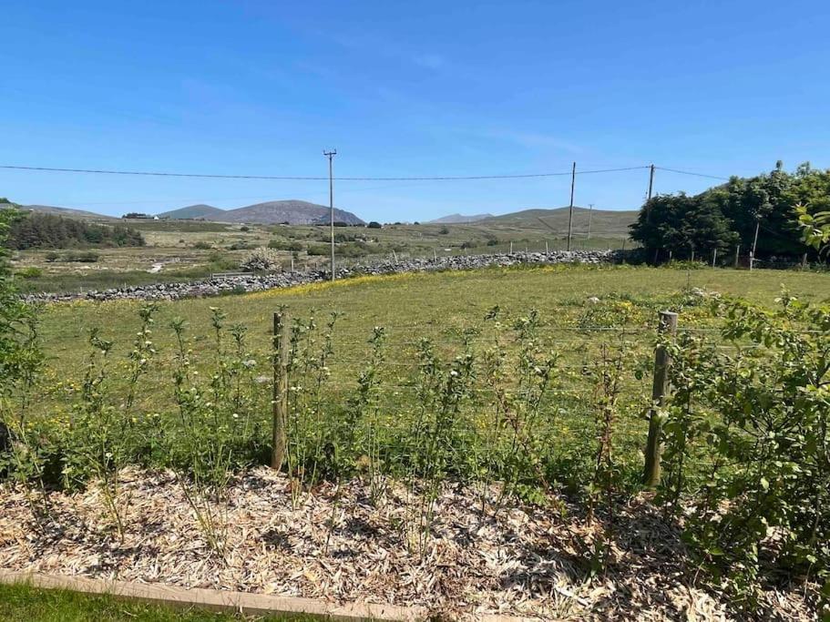 Hedd Wen Villa Llanllyfni Buitenkant foto