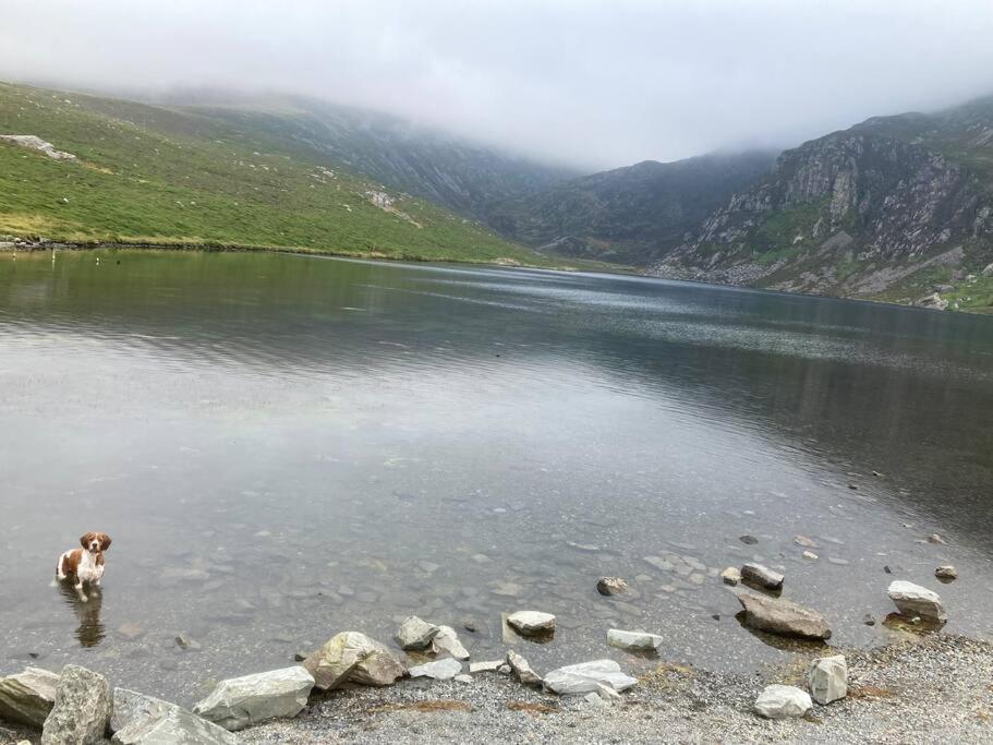 Hedd Wen Villa Llanllyfni Buitenkant foto