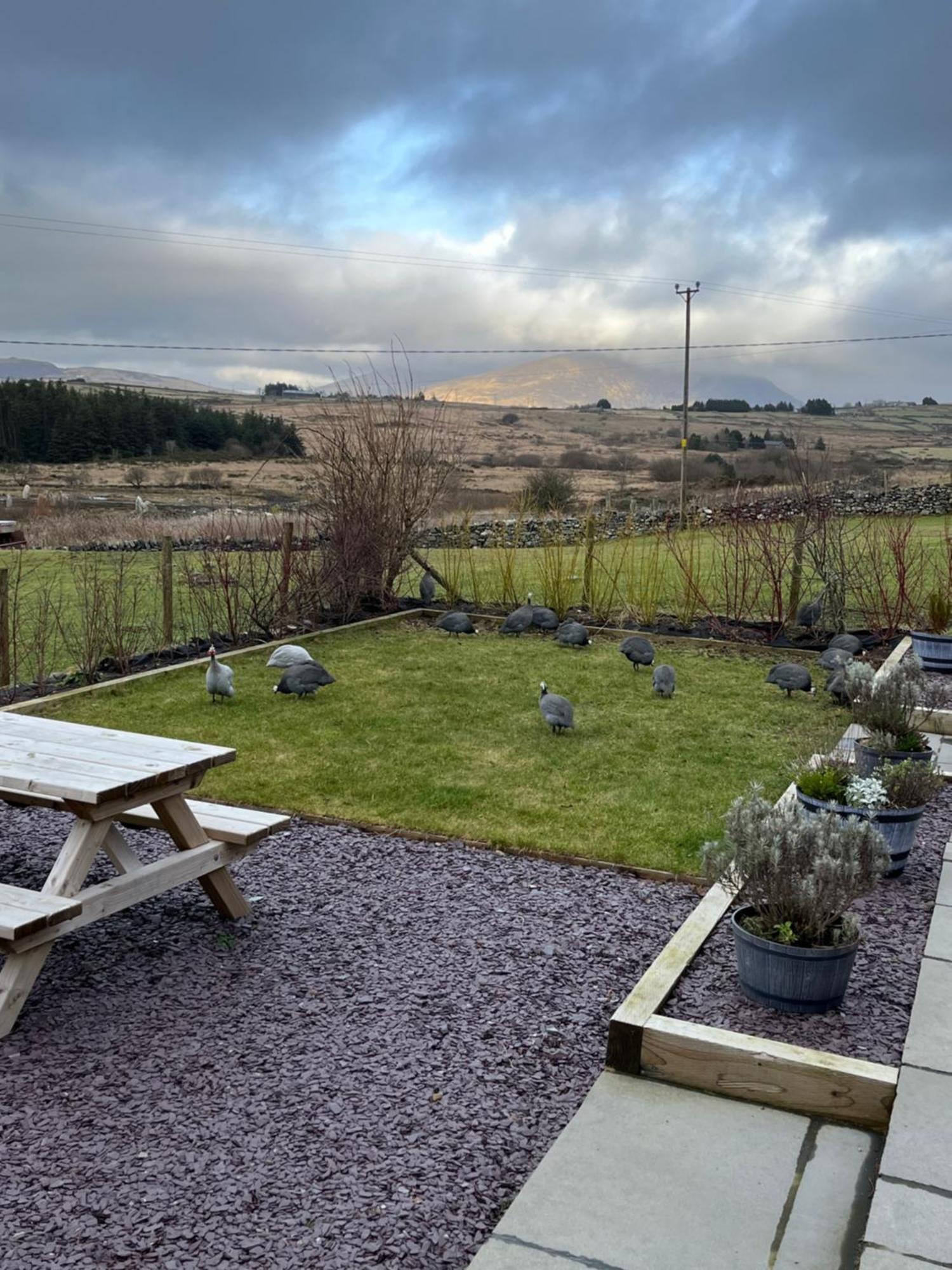 Hedd Wen Villa Llanllyfni Buitenkant foto